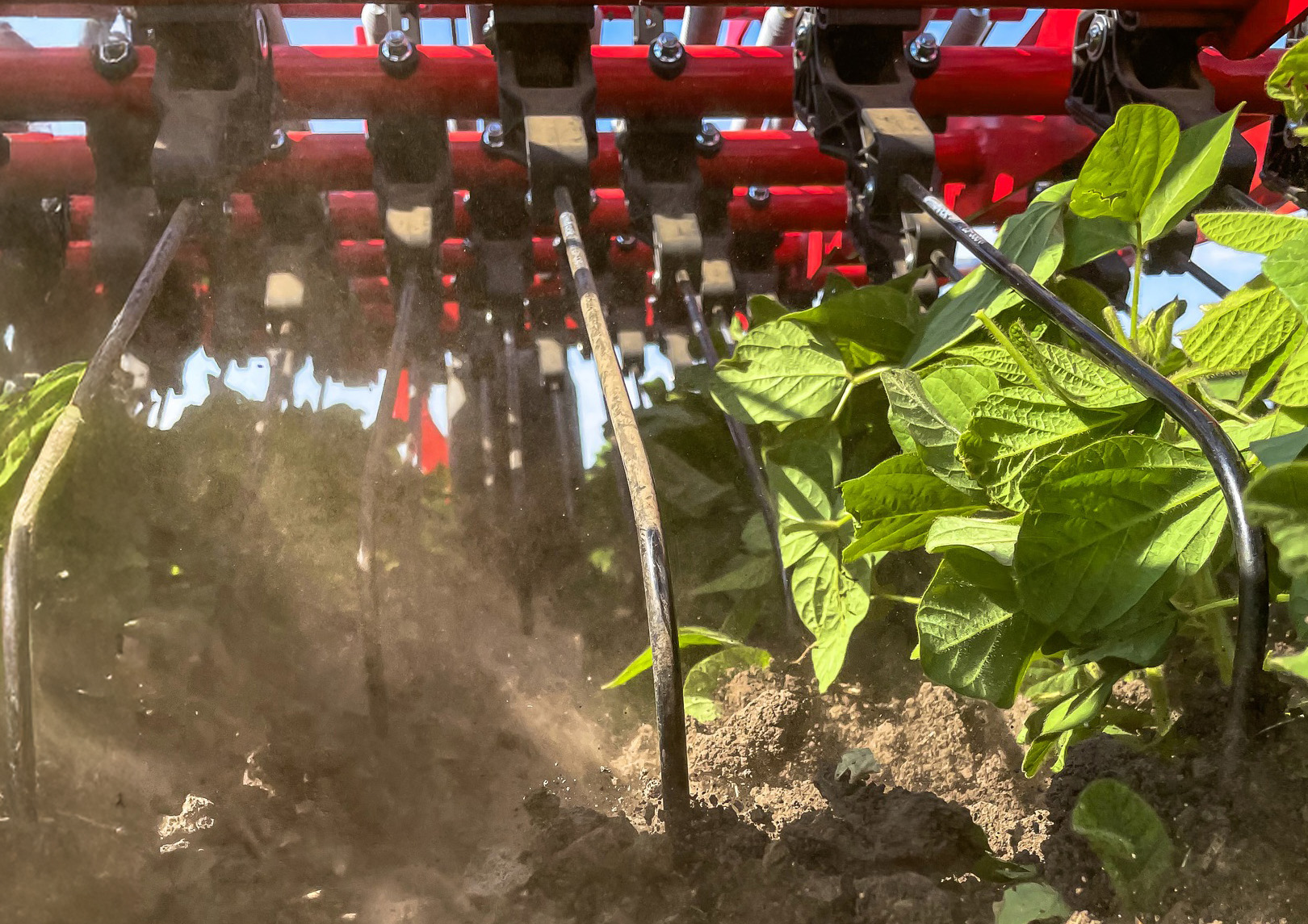 Einböck: Aerostar-Fusion