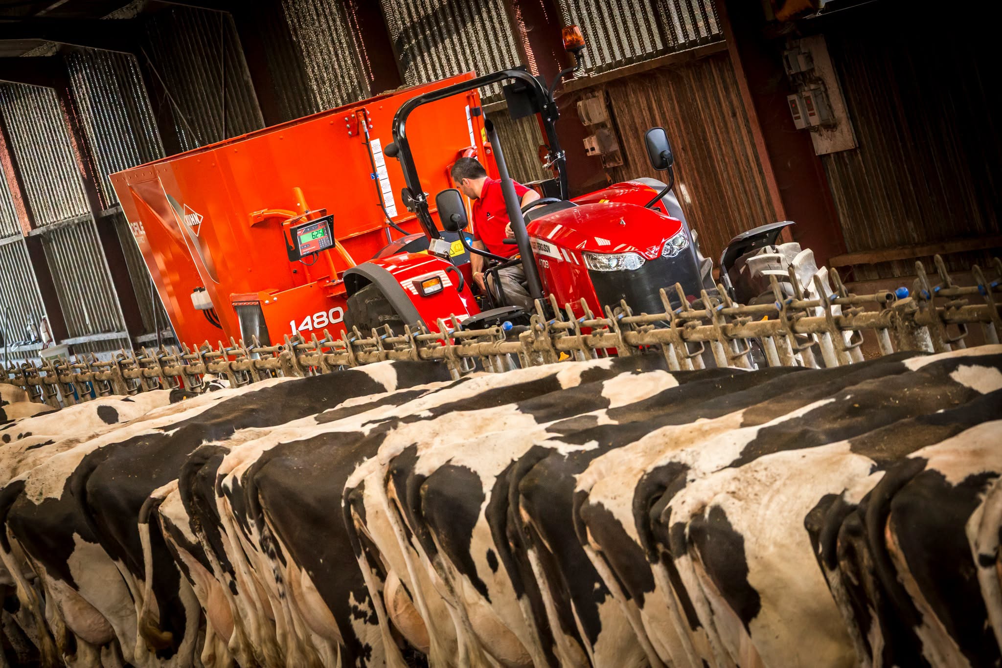 Kuhn Profile